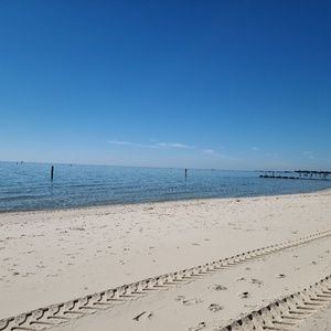 Meet your Posher, Tracey